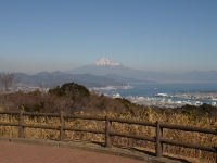 {@R]̕xmR̃TlCʐ^3