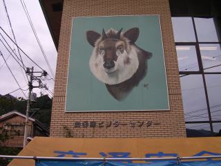 The Okutama visitor center(Japan)