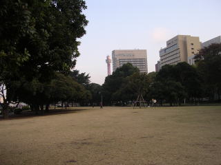 Yamashita Park(Japan)