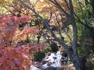 Kitanomaru National Garden(Japan)