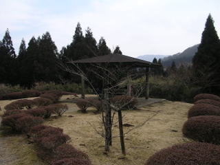 箱根の森の風景