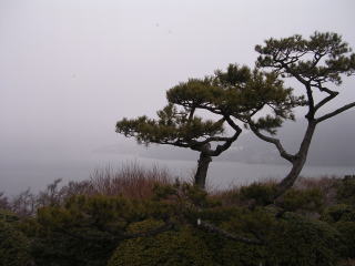 Hakone Garden(Japan)