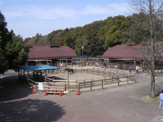 Ichikawa Zoo