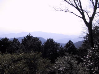 高尾山の風景