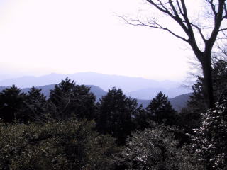 Mt.Takao(Japan)