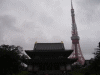 東京タワー＆増上寺
