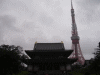 東京タワー&増上寺