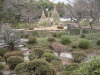 都立小石川後楽園(庭園)