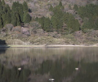 The pond of Otama(Japan)