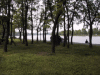 水元公園
